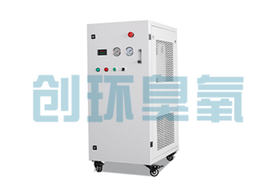 张家界石斑鱼养殖水质调控完整指南:臭氧发生器配置与操作步骤