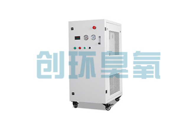 张家界比传统换水更高效?臭氧发生器在石斑鱼养殖中的水质净化原理解析
