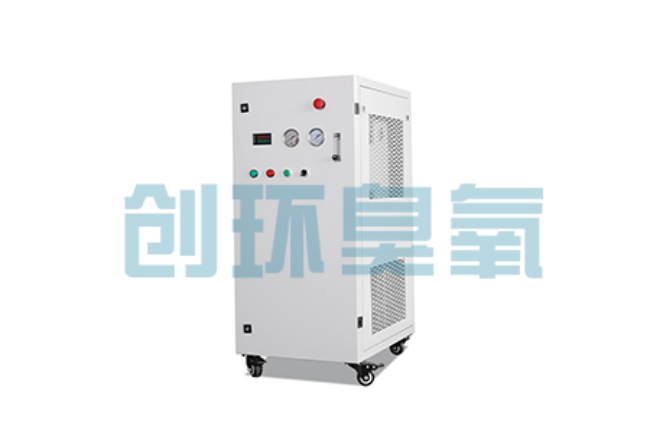 张家界比传统换水更高效?臭氧发生器在石斑鱼养殖中的水质净化原理解析